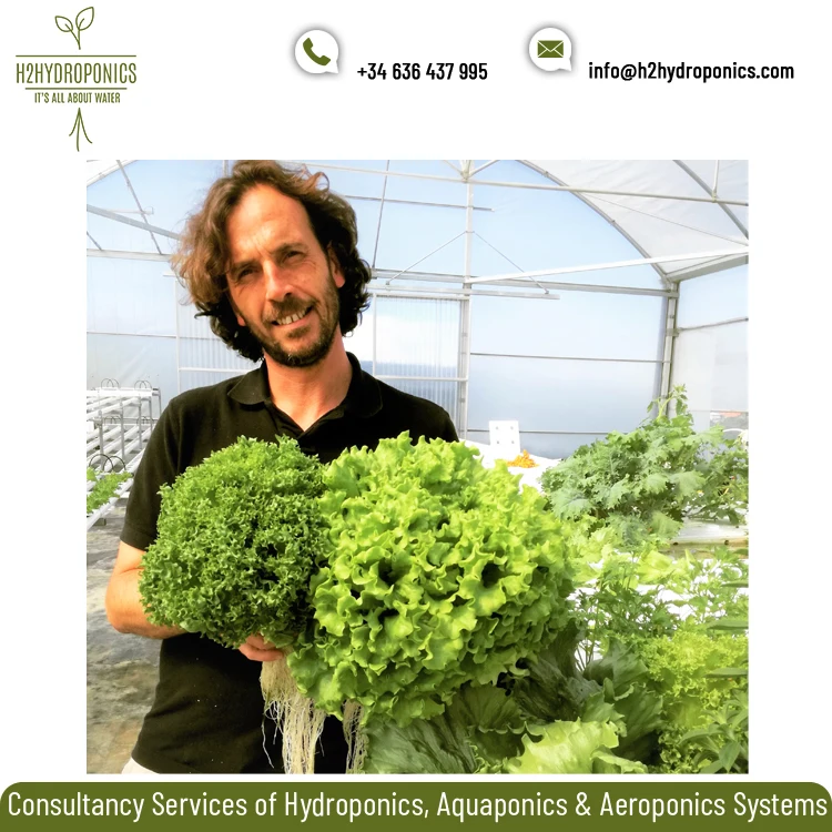 Extremely Qualified Hydroponics/Aquaponics Project Consultation Service