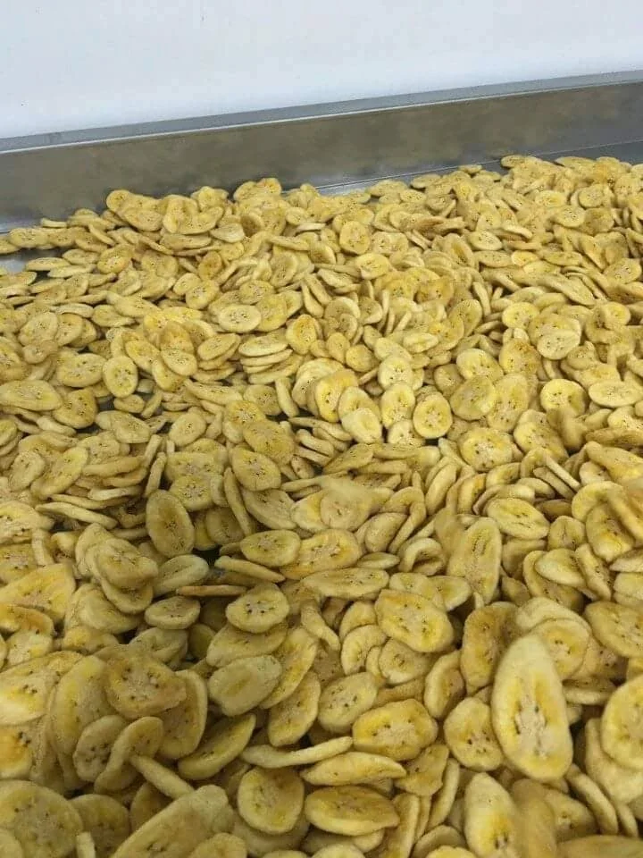 DRIED BANANA, DRY BANANA, BANANA CHIPS FOE SALE