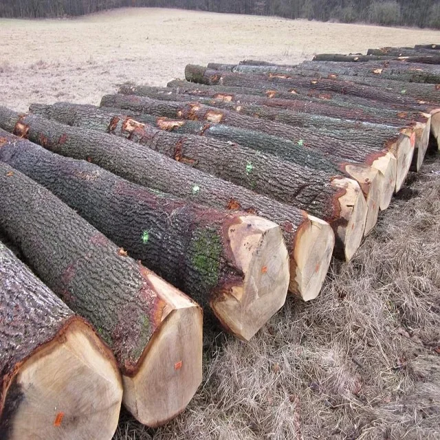 Red Oak Wood Round Logs Peeled Logs and poles