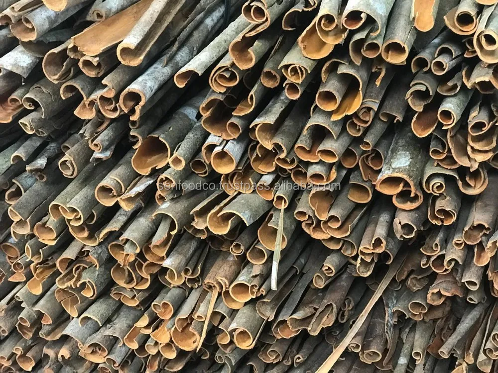 SPLIT CINNAMON/ SPLIT CASSIA FROM VIETNAM Whatsapp: +84 934 449 569