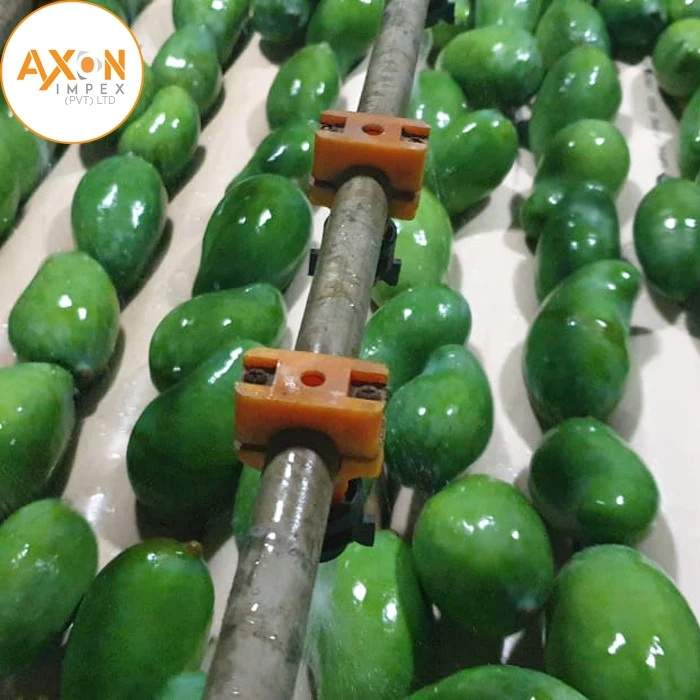 
Cheap Price Pakistani Chaunsa Mangoes 