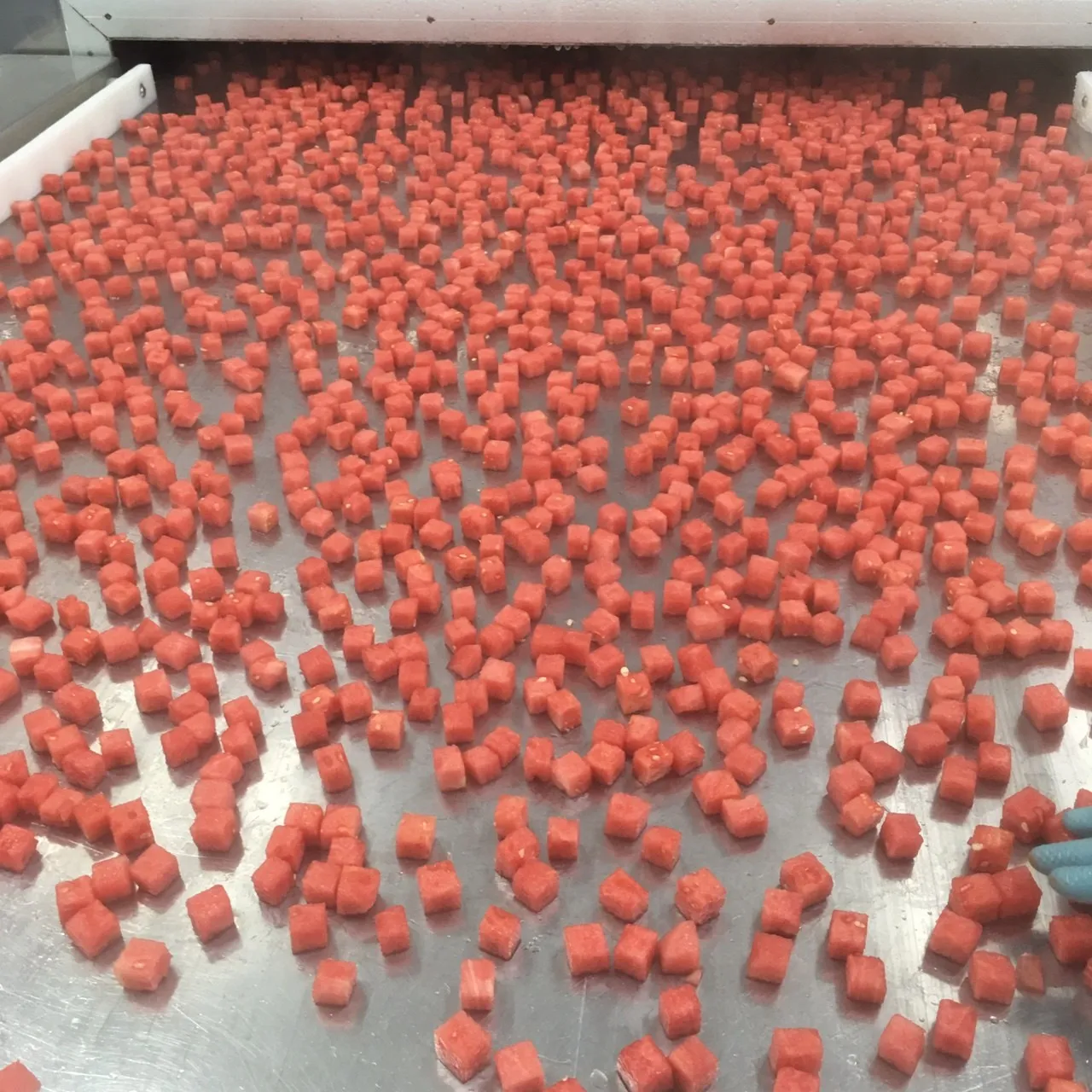  Frozen Watermelon