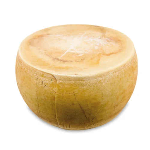 ITALIAN AGED CHESEE 18 MONTH