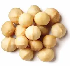 RAW Macadamia Nuts