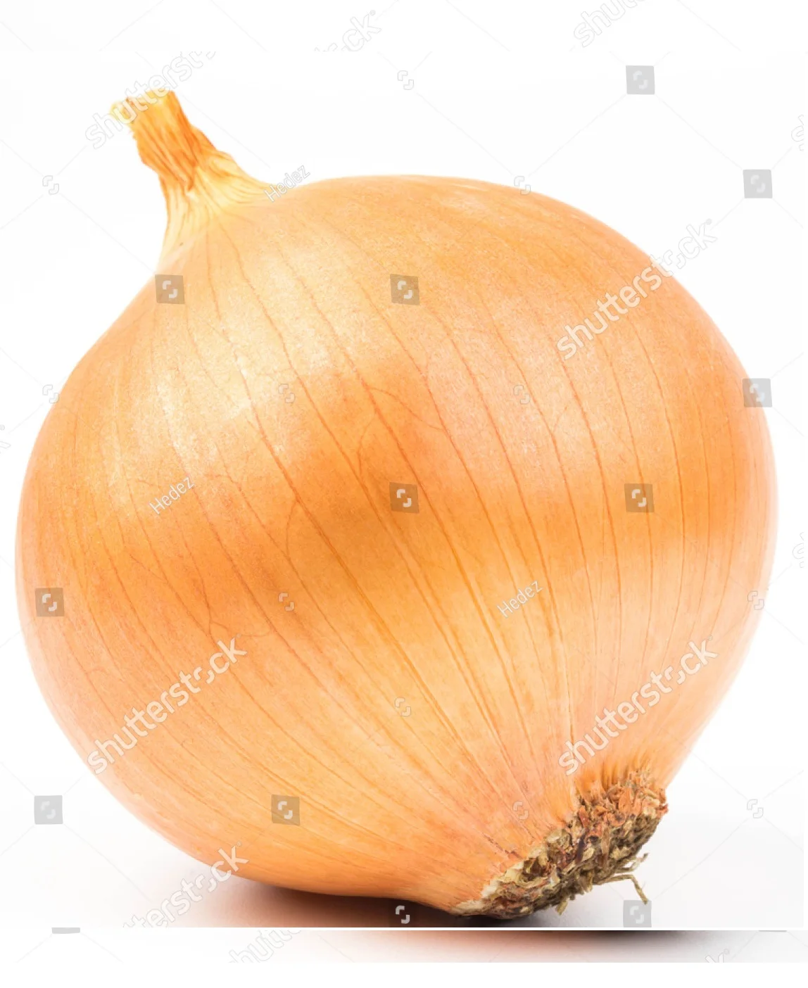 Fresh Yellow Onion