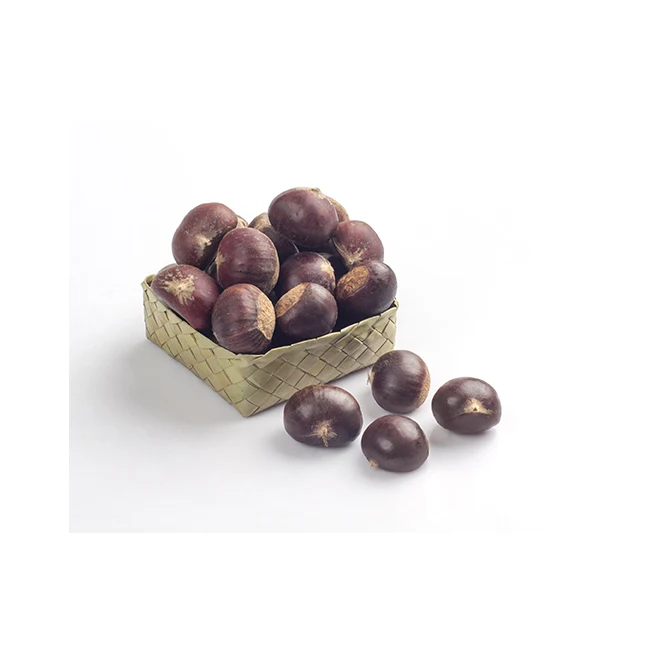 Fresh Chestnuts Fruits and Vegetables Delicious Premium Quality for 100% Export