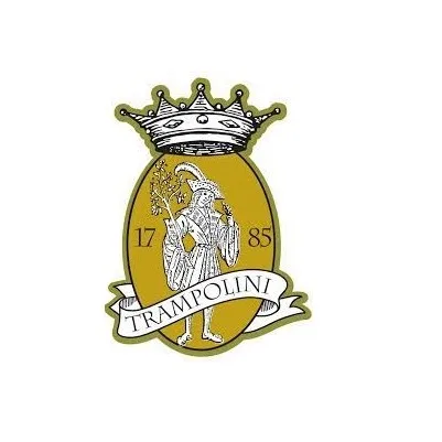 ILOVITALY Premium Quality Extra Virgin Oil Made in Italy TRAMPOLINI Armonioso for pizza snd seasoning 250ml