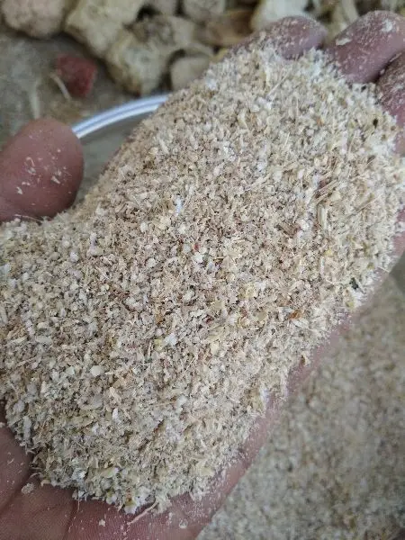 100% чистая кукурузная Кукуруза для корма крупного рогатого скота с высоким качеством/Лучшая цена, кукурузная кукуруза, порошок для животных/Shyn Tran + 84382089109