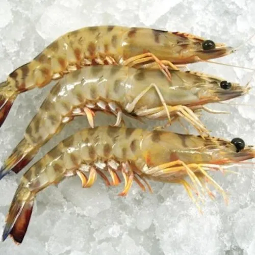  Белый корм для креветок/креветок с пресной водой/замороженный креветок vannamei