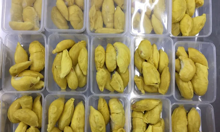 Vietnam Frozen IQF Durian for US, EU, ASIA Market - BEST SELLER