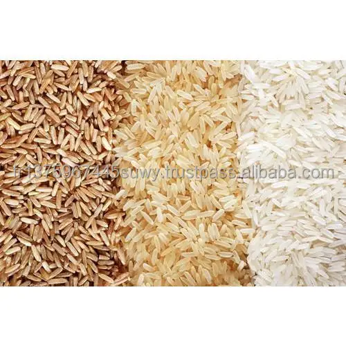 rice-grain-500x500.jpg
