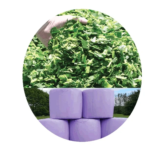 Low Price Top Quality Animal Corn silage