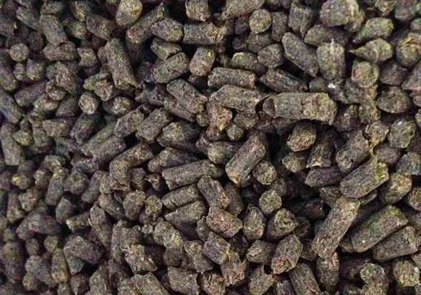 
Rich NPK seaweed + bat guano fertilizer/ seaweed fertilizer for sale - Whatsapp: +84-845-639-639 