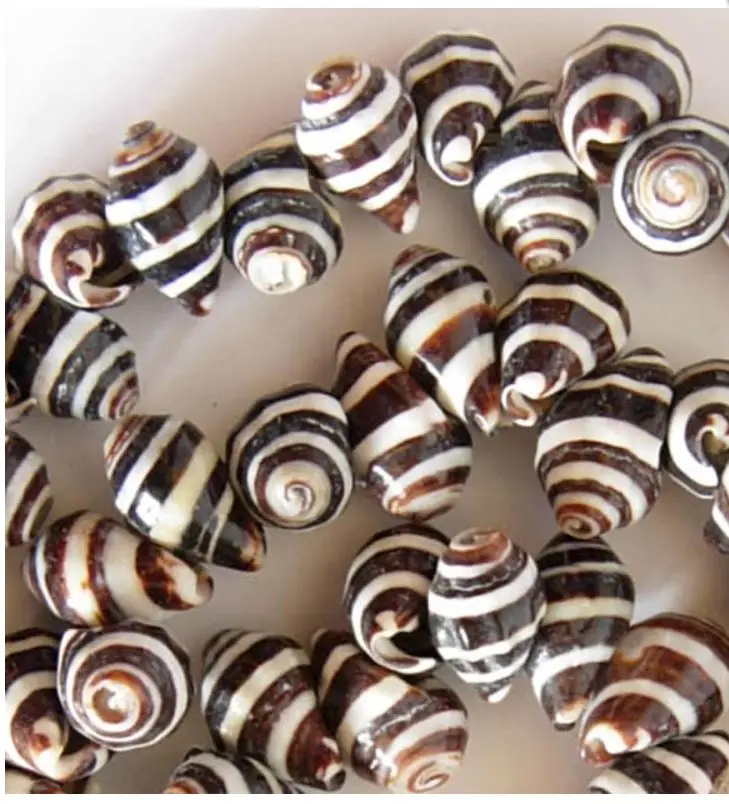 Pyrene Shell, Striped, Sidedrill, 13mm