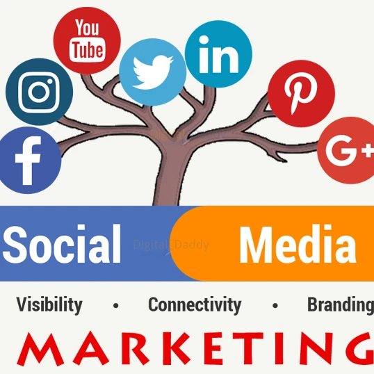 Expertise Facebook Marketing Instagram Followers and Social Media Management