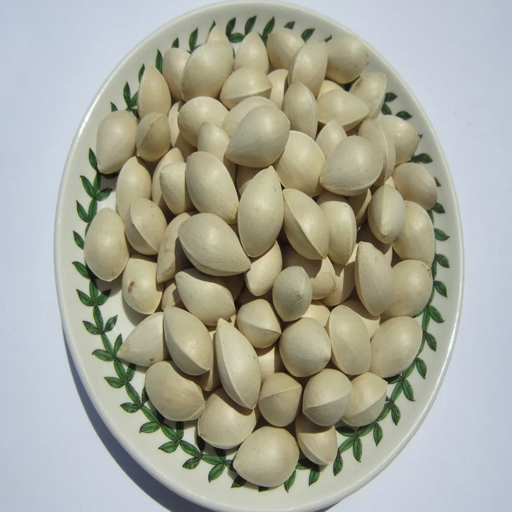 
Bai Guo Best Price dried Quality Ginkgo Nuts For Sale 