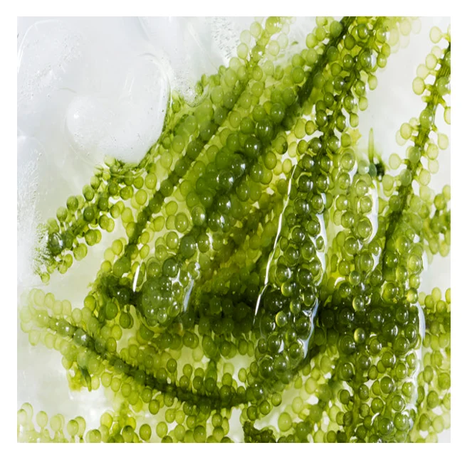 Сушеные морские водоросли, виноград, много полезных преимуществ от Nature, лучший выбор для вашей еды