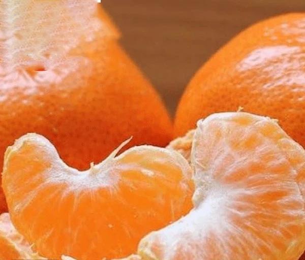 sweet kinnow mandarin citrus fruit from Pakistan Bulk Price