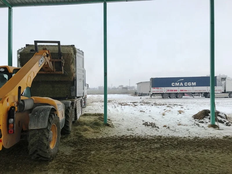 
Premium Quality Turkish Alfalfa Hay Bale, High Quality Green Color Turkish Lucerne Hay, Turkish Clover Hay 