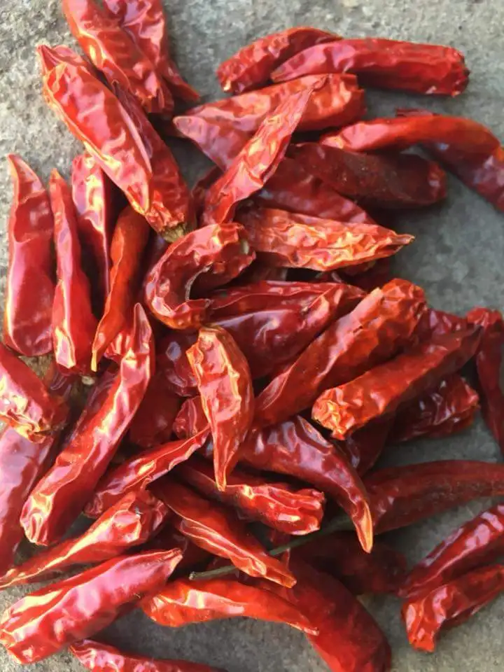 Dried small Chilli from vietnam  best quality cll +84984418844 w