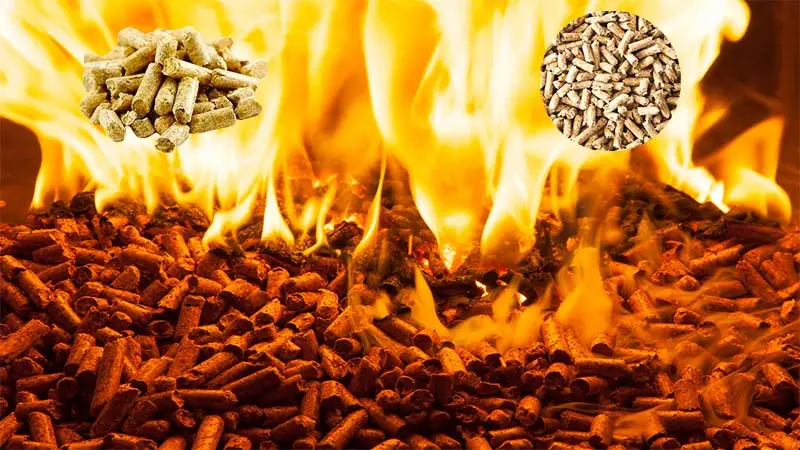 Buy Bulk Charcoal Wood Pellets Manufacture WOOD PELLET Biomass For Fuel Good price just 120$