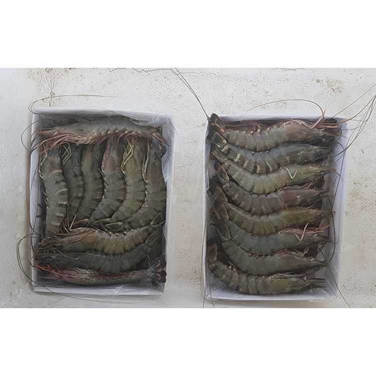 Вкусные органические морепродукты, черная Тигровая креветка из Порт джакарата