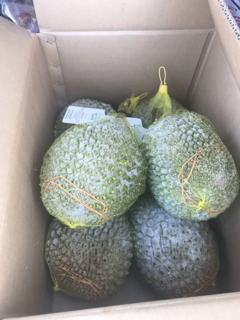 Замороженная дурийская целлюлоза Musang King из малайзии