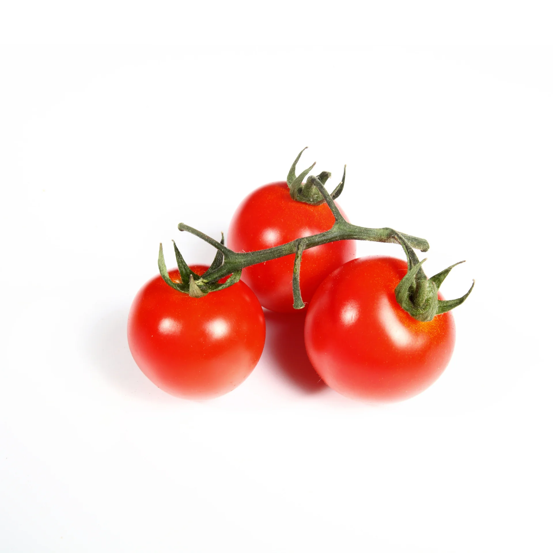 Cherry tomatoes- High fresh quality