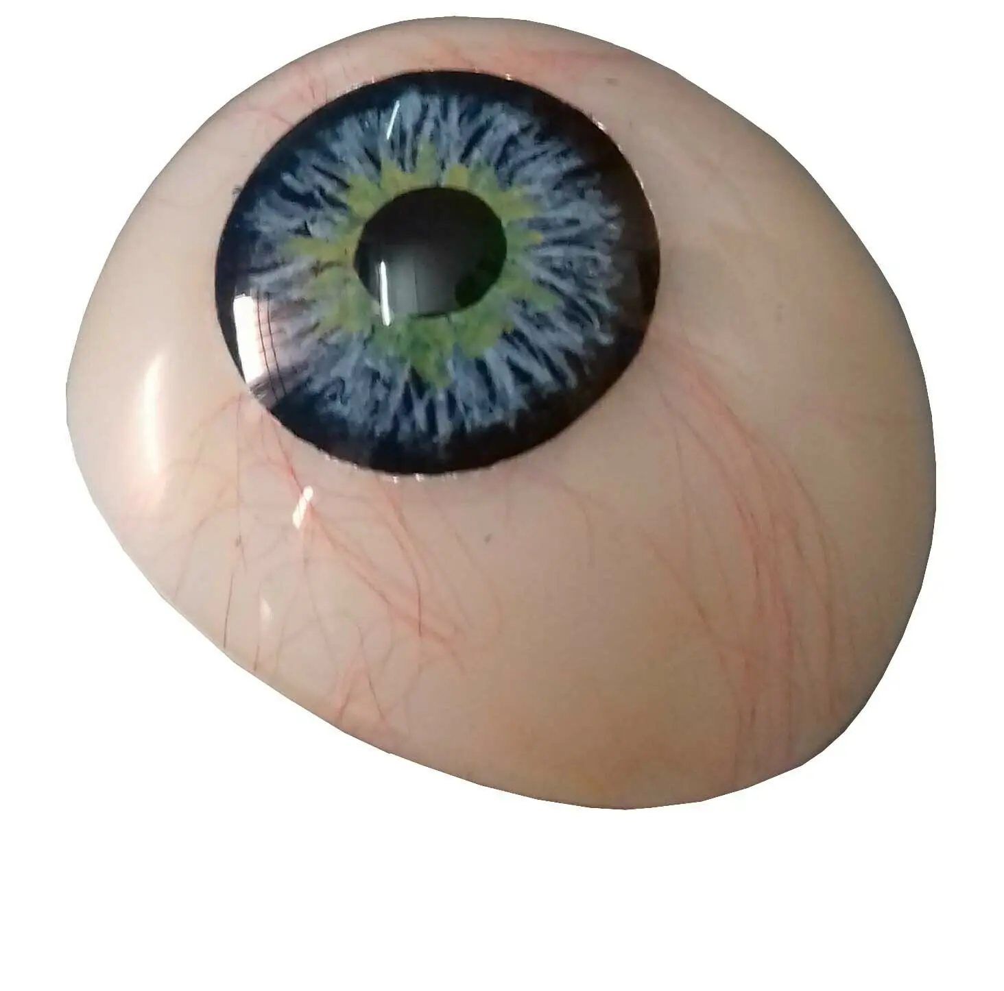 Mars International Manufacturer of genuine  price mix Artificial Prosthetic any-one Eye Superior Quality and price Free shipping