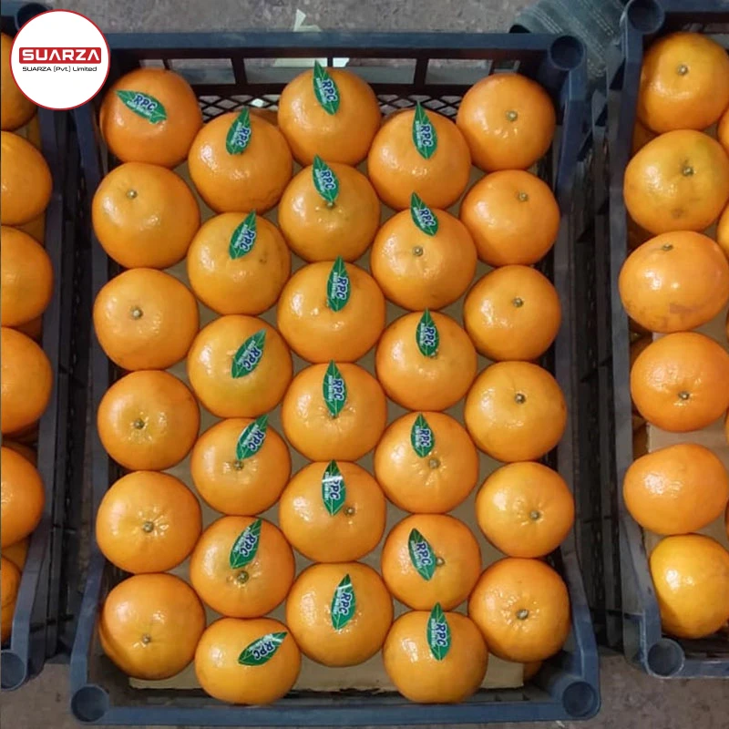 Sweet and juicy mandarin oranges from pakistan/Navel Oranges, valencia, Mandarin, Tangerine, Lemons, Clementine