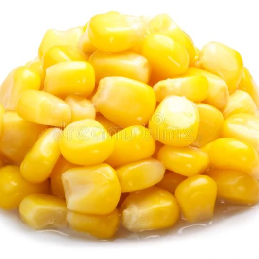 indian good quality of corn/yellow corn