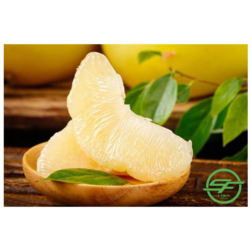Grapefruit Best Quality Fresh Fruit Pomelo Fresh Fruit Grapefruit Vietnam Healthy Nutritious Fresh Sweet Freshly Picked Pomelo