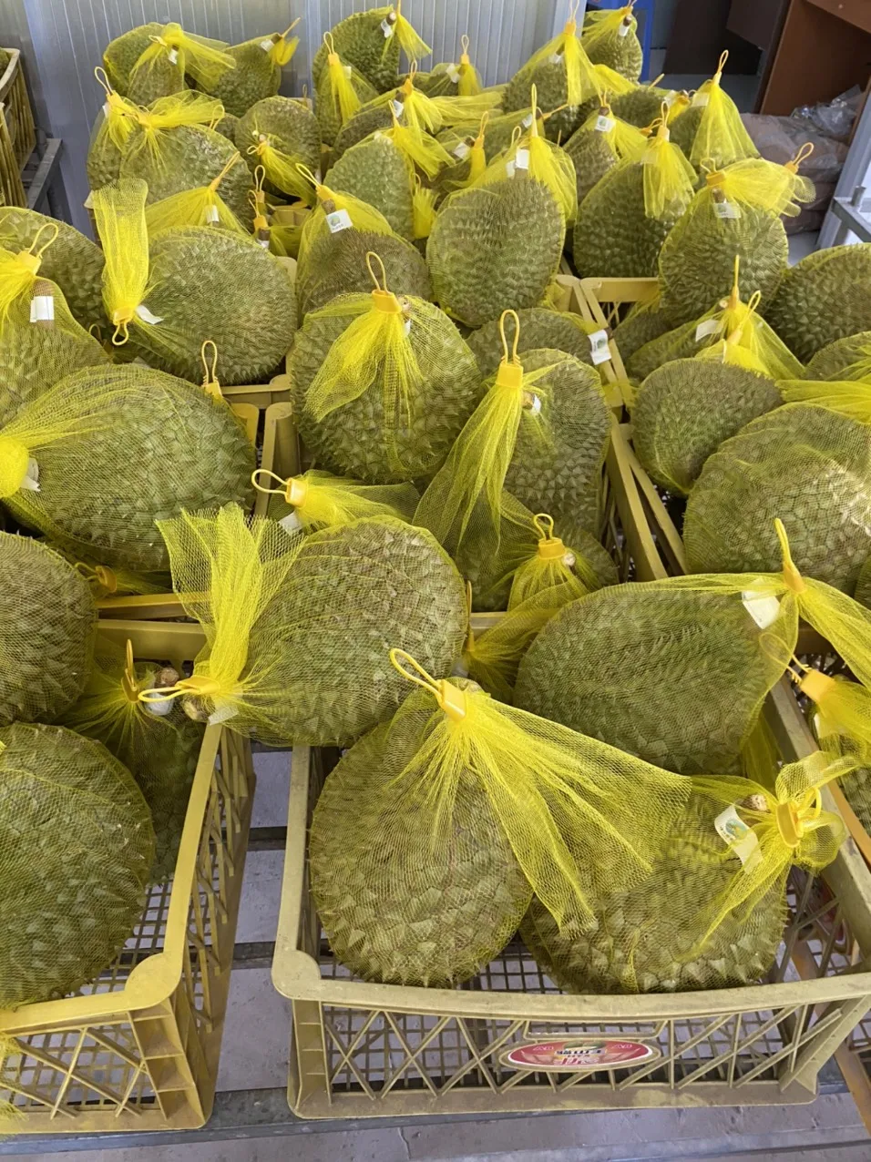 Frozen Durian Pulp With Seed, Seedless Durian Meat, Durian Ri6 Monthong Creamy Taste