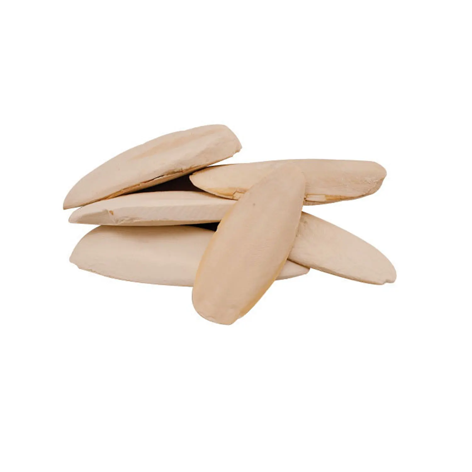 Bulk Cuttle Fish Bone- Cuttlebone Clean For Sale