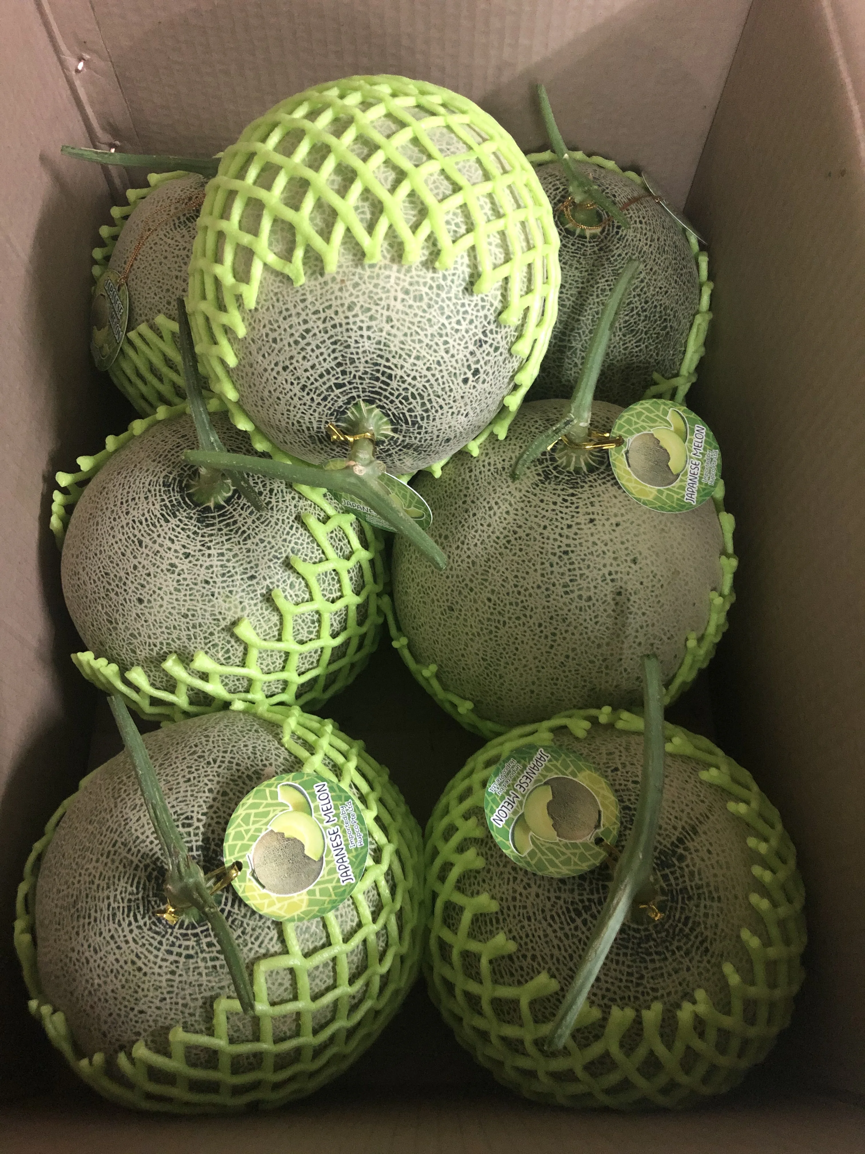 
EWC Premium Farrmer From Thailand Tropical Fruit Fresh Melon Green Meat Sweet Taste 