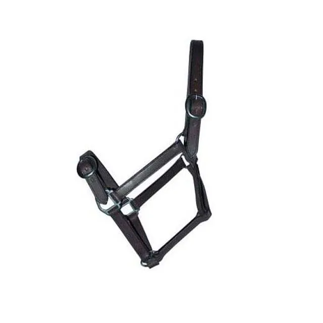 Hand Carved Leather Halter