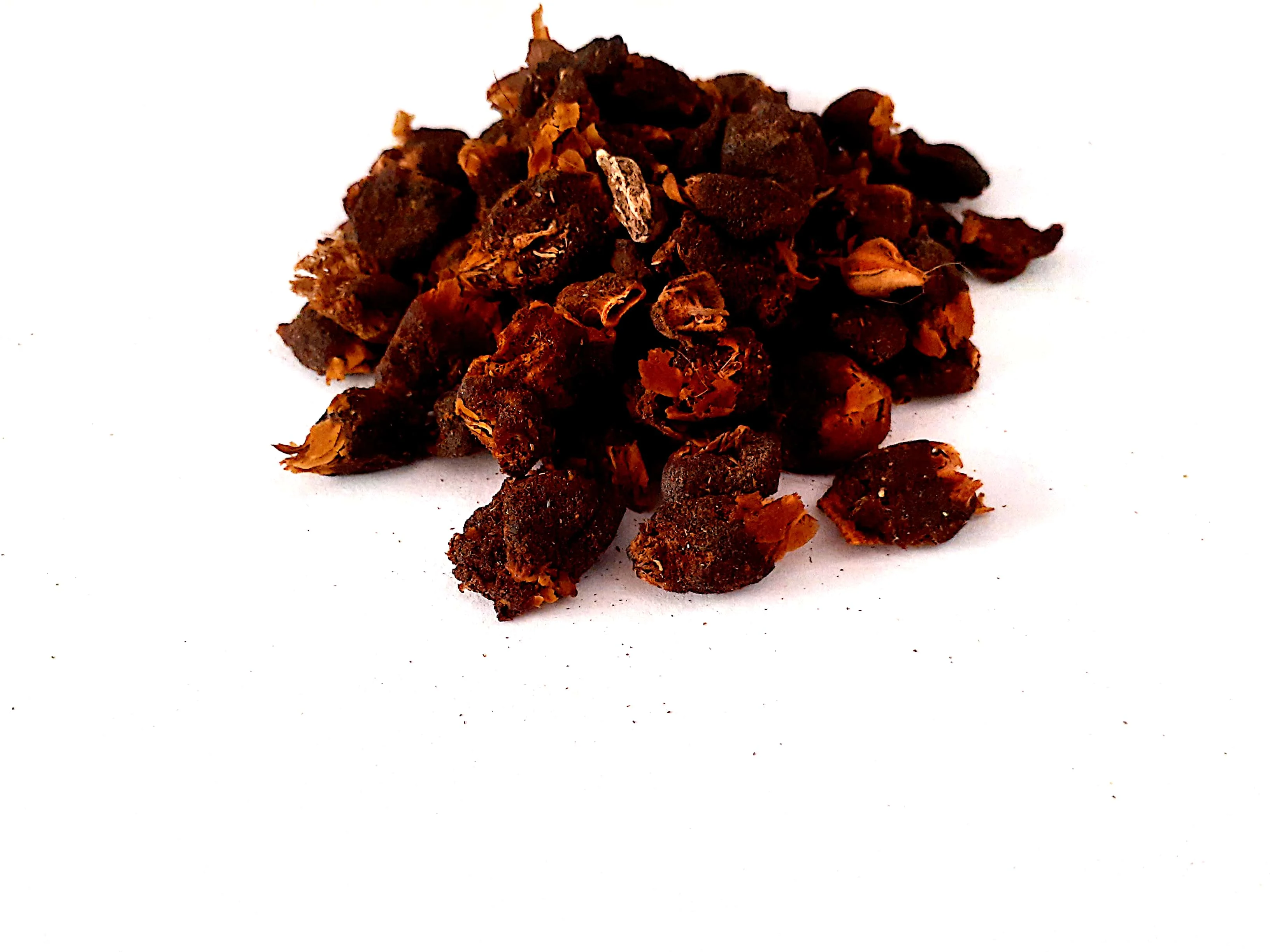 Indian Origin Herb Madhuca Longifolia Seed - Best Quality Mahua Seed Are Widely Used For Removing Intestinal Worms