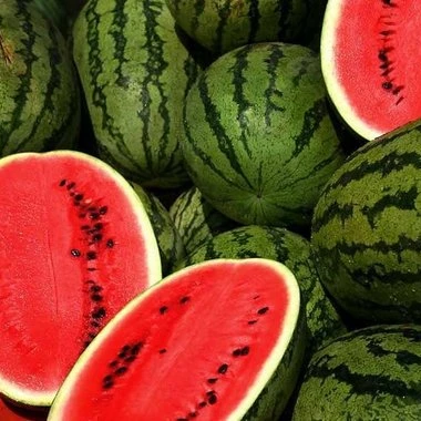 
Fresh Sweet Watermelons From South Africa 