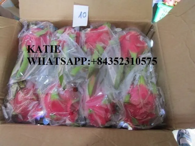 
Buy Fresh Dragon Fruit/ Pitaya With Good Price Origin Vietnam /KATIE N +84352310575 