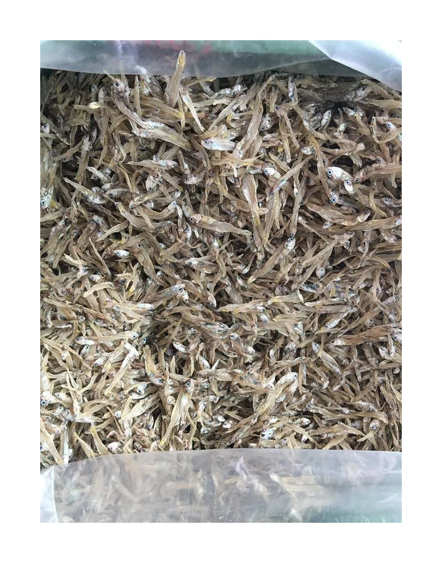 Распродажа сушеных анчоусов высокого качества по лучшей цене