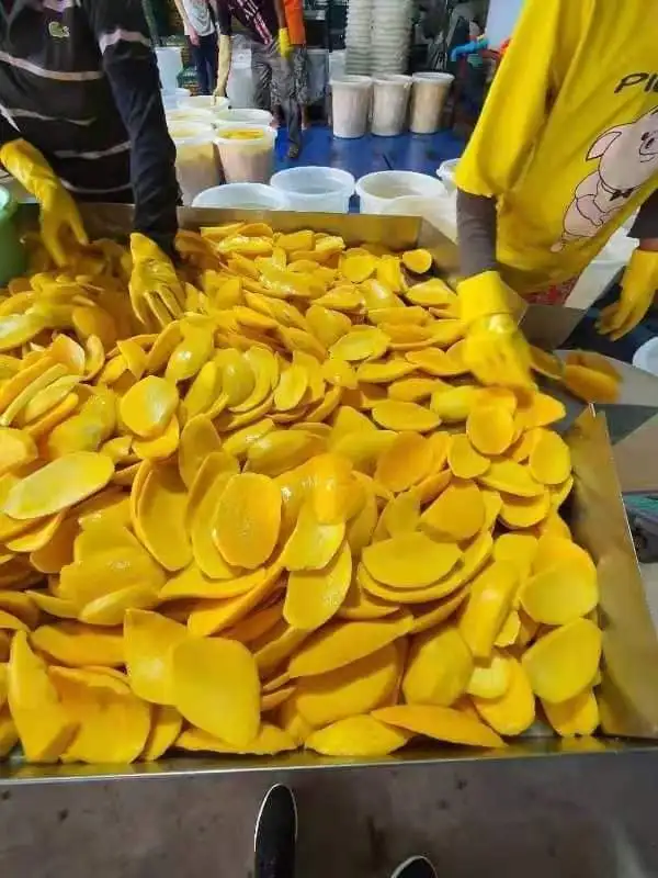 2021 HASU  For Process Deep freezing Brix 15% New  Frozen Mango Slice Shipping From Viet Nam