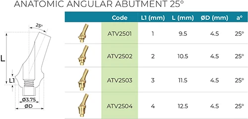 Concave Anatomic Angulated Titanium Abutment 25 Degree, Dental Implant Internal Hex 2.42mm Connection