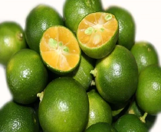 
Supplying fresh lime small/calamansi from Vietnam with top quality _Vikafoods (+84983028718) 