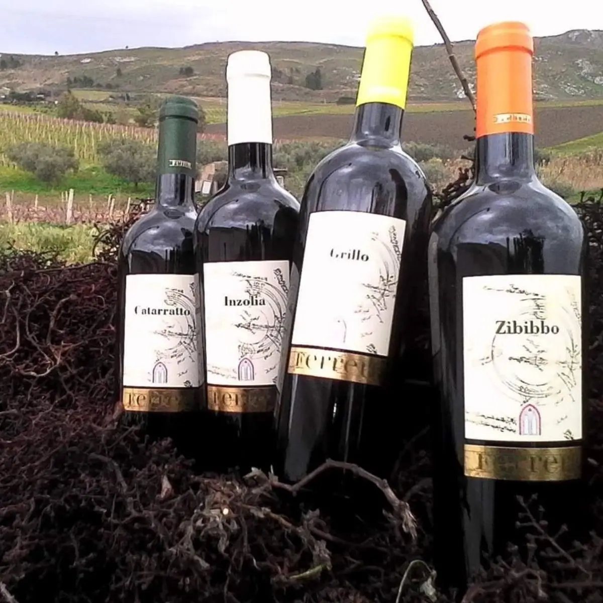 Top quality FERRERI Italian Wine for Table Wine shops Restaurant  Grapes of  Zibibbo 750ml High Quality Wine