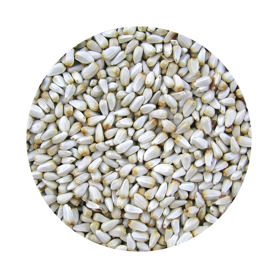 Оптовая цена, 100% чистые семена сафлора, российское происхождение