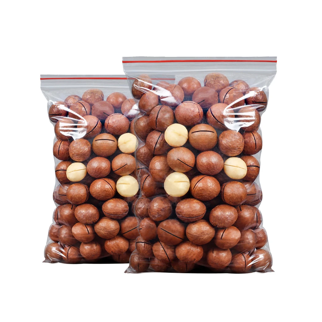 Wholesale high quality macca nuts organic macadamia nut dries with medium size Viet Nam manufacturing