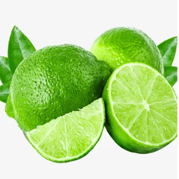 Green lemon/lime Fresh lemon seedless/ fresh fruit high quality whatsapp +84902948089