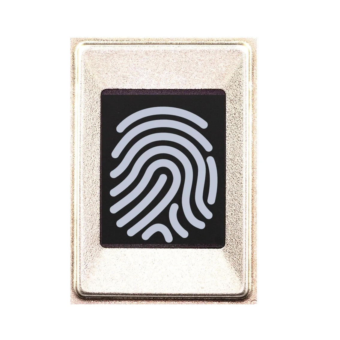 FAP20  FBI 300 x 400 Pixel Fingerprint Scanner Sensor Module