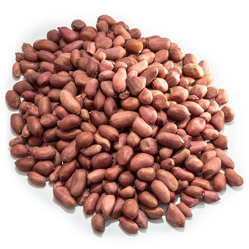 
Bold Peanut Kernels | Raw Bold Peanuts Wholesale 