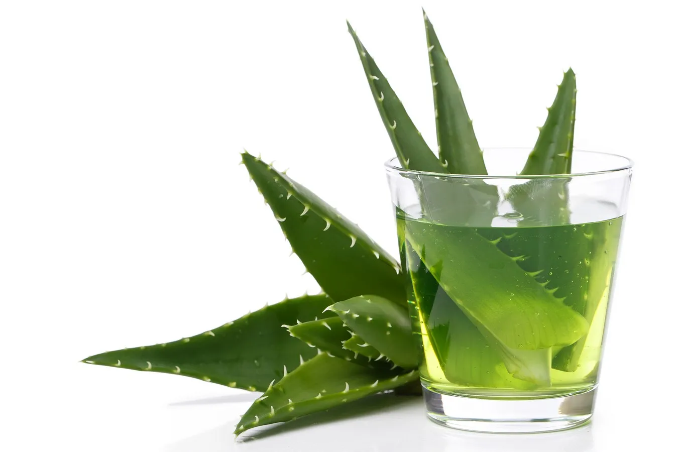 Natural Herb Use Beauty Aloe vera in syrup from Vietnam
